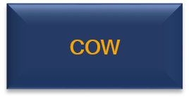 COW CO-Warnanlage