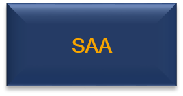SAA Sprachalarmanlege